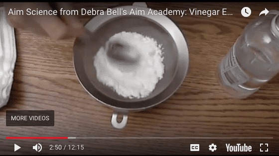 Aim Science: Vinegar Experiments image